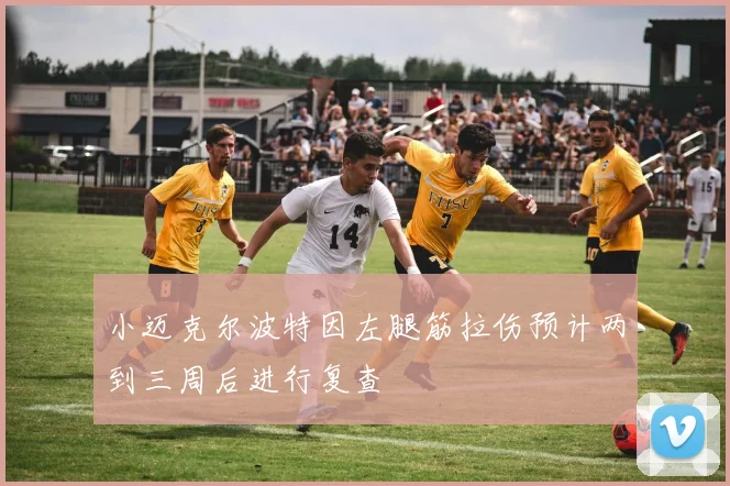 小迈克尔波特因左腿筋拉伤预计两到三周后进行复查